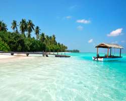 The island has the most different vibes among the entire islands of Lakshadweep as it is said that if you want to take leave from your busy schedule y